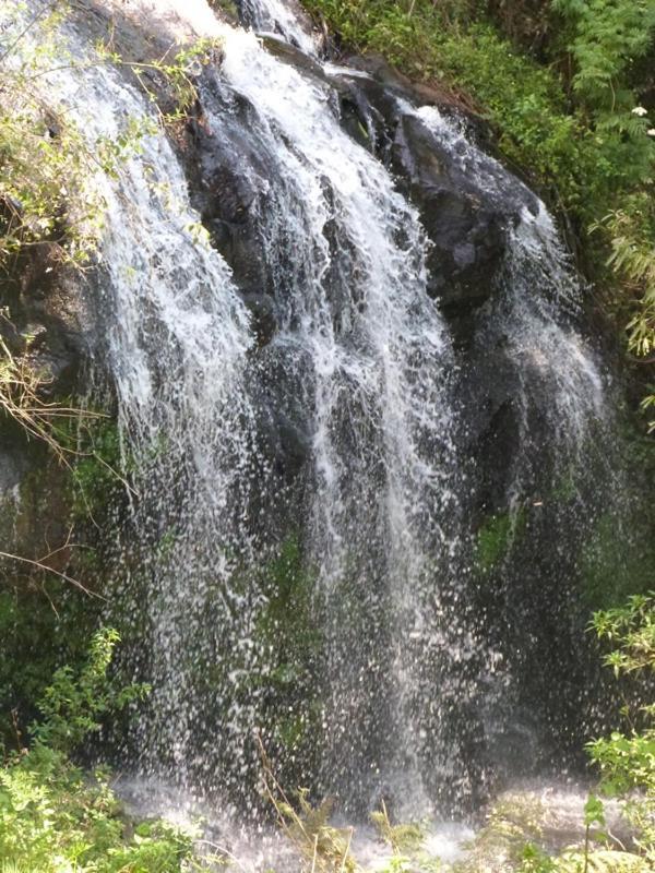 Casarao Da Cascata Villa Грамаду Екстериор снимка