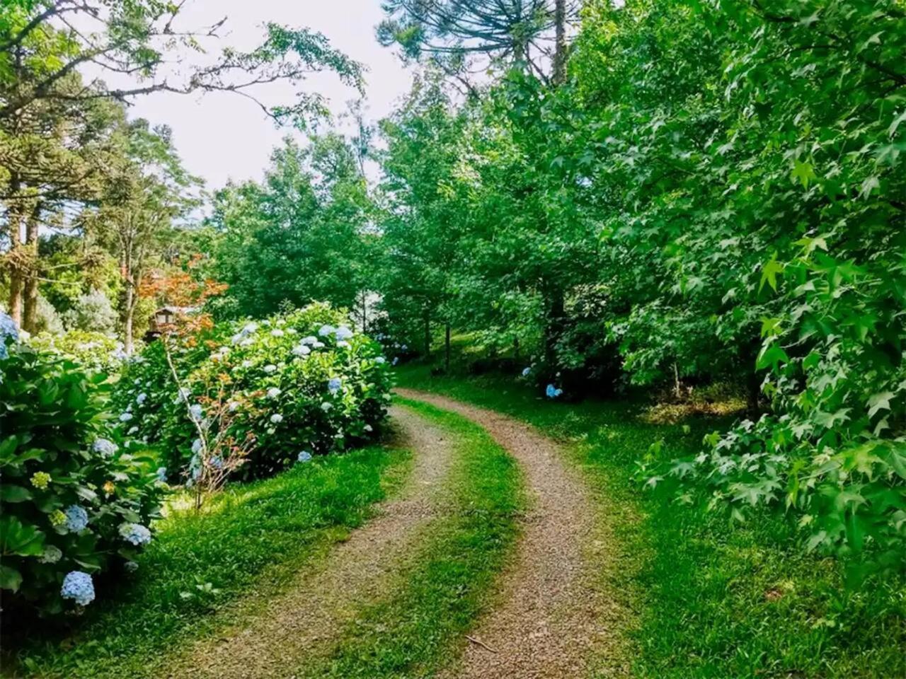 Casarao Da Cascata Villa Грамаду Екстериор снимка