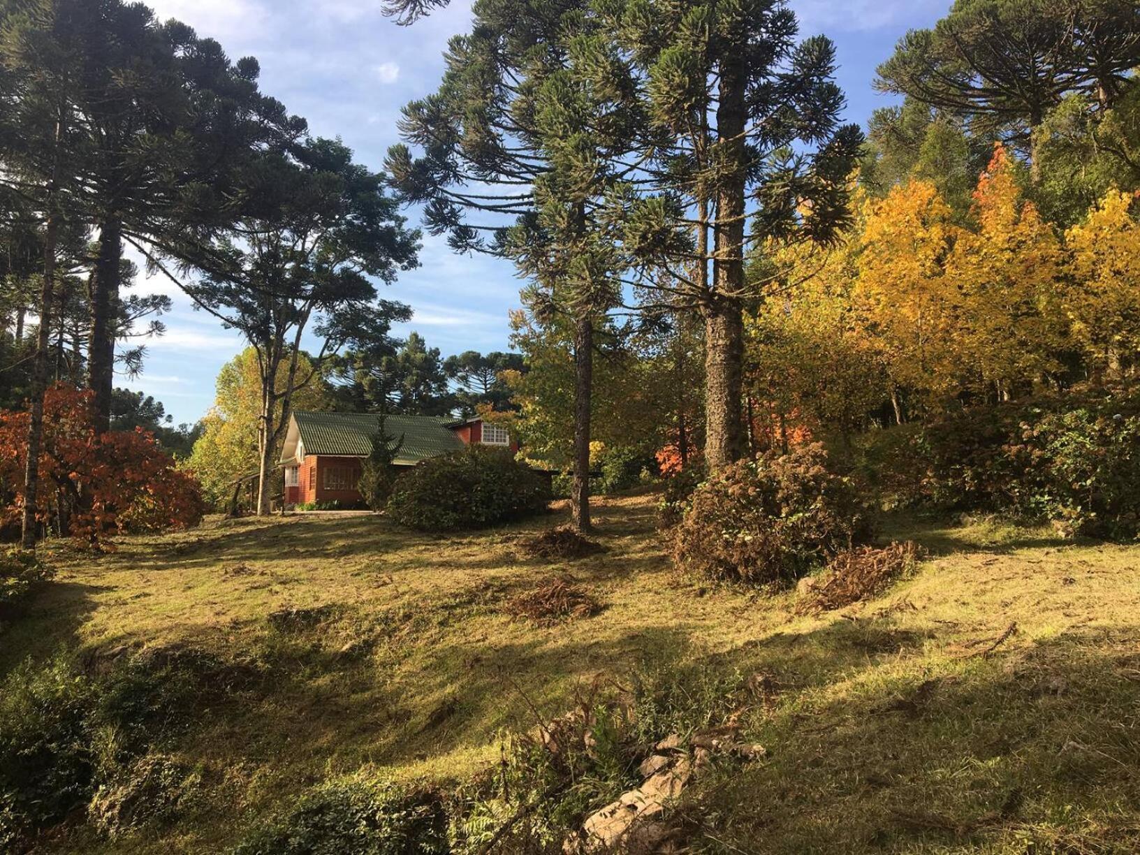 Casarao Da Cascata Villa Грамаду Екстериор снимка